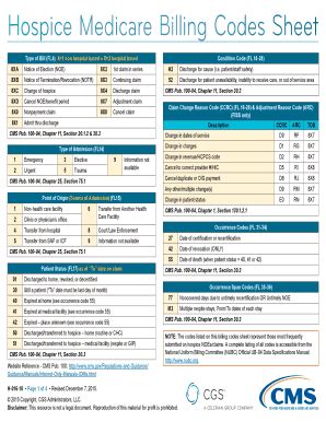 hospice billing guidelines for medicare.